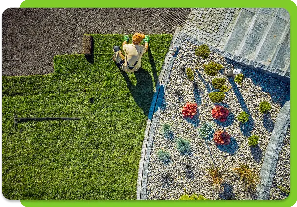 Gyepszőnyeg telepítés