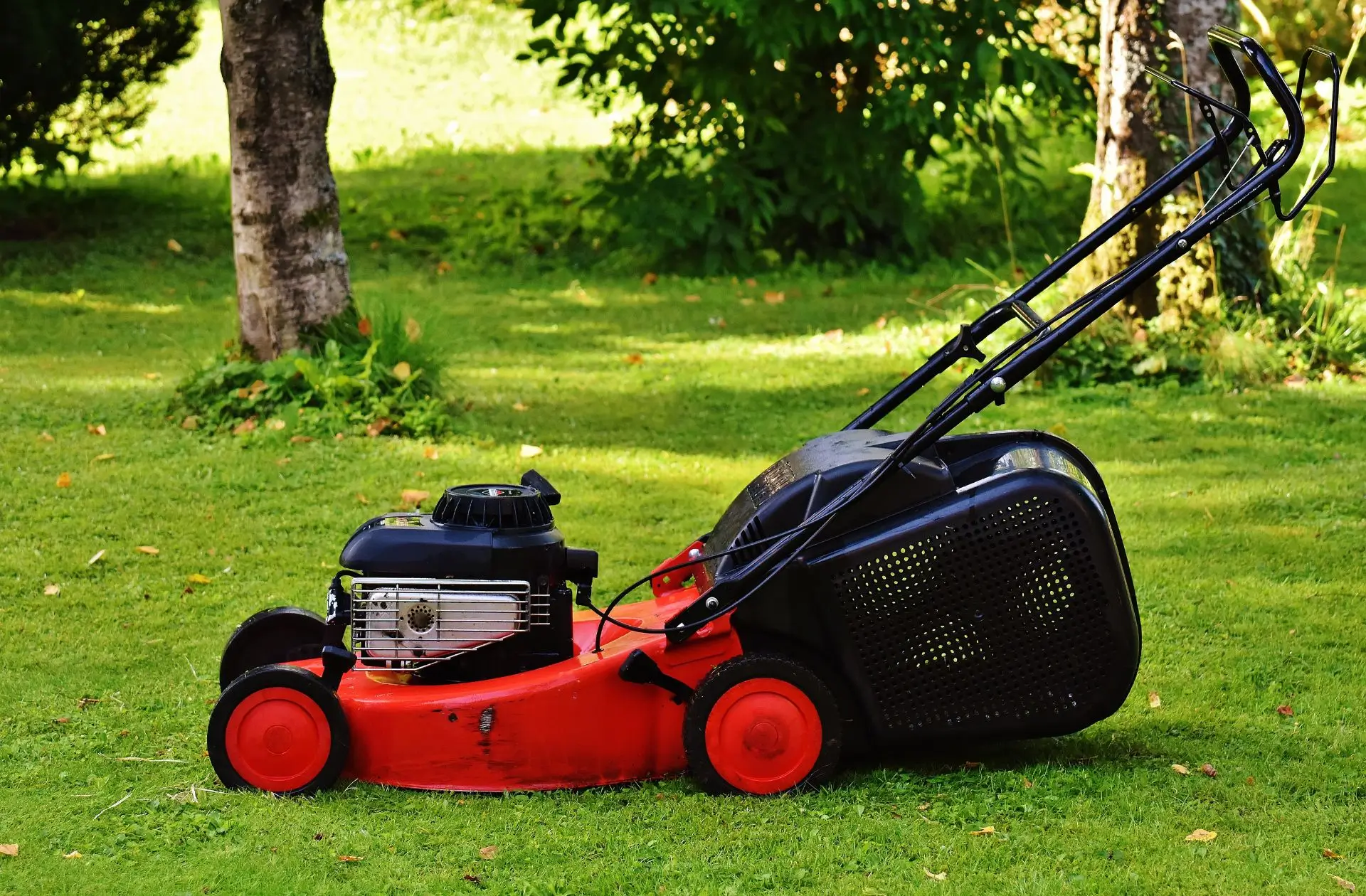 Kertépítés, kertgondozás veszprém