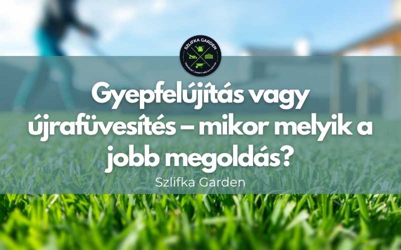 Gyepfelújítás vagy újrafüvesítés – mikor melyik a jobb megoldás?